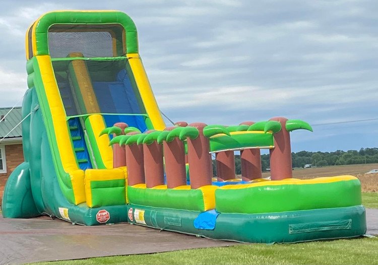 Slides